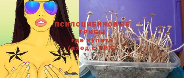 ГАЛЛЮЦИНОГЕННЫЕ ГРИБЫ Арсеньев